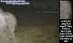 0angelswing.jpg (33568 bytes)