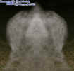 0mirroredentity.jpg (34266 bytes)