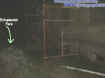 0scaffoldectoplasm.jpg (20452 bytes)