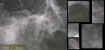 0scaffoldfacesectoplasm.jpg (43887 bytes)