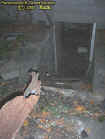 0winecellar.jpg (27997 bytes)
