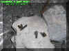 bullets.jpg (76217 bytes)
