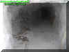 tunnel7.jpg (60001 bytes)