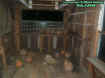 gourds.jpg (38175 bytes)