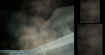 townsendrooflady.jpg (22900 bytes)