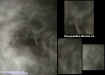 flyinghosts.jpg (28306 bytes)