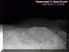 desert.jpg (29879 bytes)