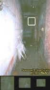 0basementfacelady.jpg (40126 bytes)
