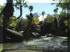 jurassicpark2.jpg (60340 bytes)