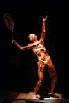 bodies4.jpg (15276 bytes)
