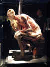 bodies6.jpg (37067 bytes)