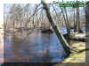 furnaceriver.jpg (60568 bytes)