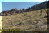 redrocklandscape.jpg (57296 bytes)