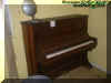 organ.jpg (23194 bytes)