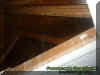 attic1.jpg (19416 bytes)