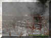 5fencemist.jpg (27689 bytes)
