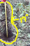 Copy of 17inchfoot.jpg (37953 bytes)