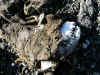 PA060024 (Small).JPG (94358 bytes)