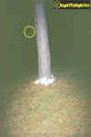gootlebergorbstones.jpg (29011 bytes)