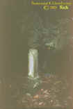 pinetreeneedlesonstone.jpg (37474 bytes)