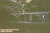 02garage.jpg (50865 bytes)